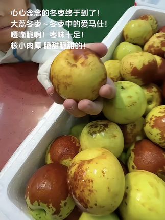 心心念念的终于到了!嘎嘣脆啊!大荔冬枣~冬枣中的爱马仕,核小肉厚,超级脆 超级甜,枣味十足 好吃到哭😭#冬枣 #快来一起尝个鲜 #大荔冬枣 #优质农产品 #应季水果