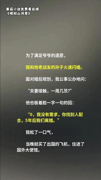 番茄小说《砚知山河意》7373模拟8 #番茄小说 #HJ #YJL #总裁 #女频