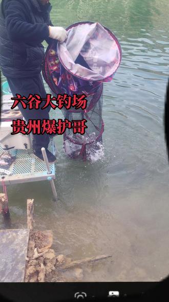 六谷大钓场,贵州爆护哥。