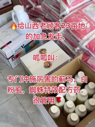 🔥爆单了,全是去年用过的老顾客继续复购,专门冲蓟马,蜘蛛,白粉虱很管用,一堆发走🌹