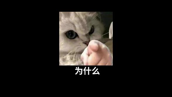 满体满负很难吗?为什么你们都不做任务呢?#三角洲行动