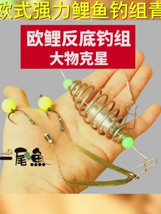 一尾鱼欧式反底钓弹簧钓组欧式鲤鱼钓针对青鱼鲤鱼大物加粗鱼钩 #钓草鱼 #钓鱼 #反底钓法 #草鱼钓法 #欧鲤钓