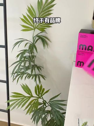 植护MAX卫生巾前后加宽防侧漏卫生巾益生菌姨妈巾国货【补贴直降】 #超薄透气 #国货卫生巾 #植护卫生巾 #姨妈巾 #好用不贵