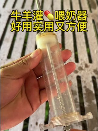 猪牛羊喂奶喂药都可用,使用简单方便,需要点击小黄车#牛羊养殖 #养猪人 #自繁自养 #好东西一起分享 #养殖