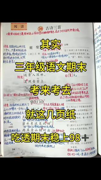 三年级上册语文全册知识点汇总🔥#三年级 #学霸秘籍 #期末复习 #知识点总结 #语文