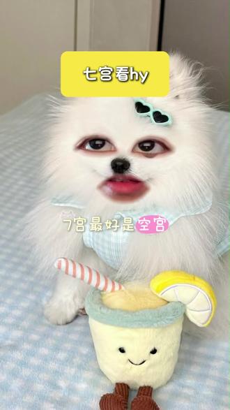 七宫看hy #星盘 #星盘分析 #星座 #情感 #婚姻