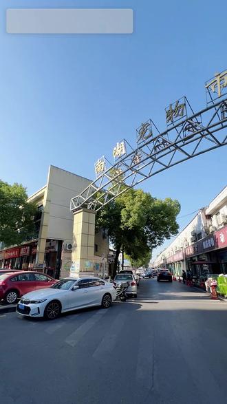 宝藏市场!长沙好品相小猫聚集地探秘! #长沙宠物 #长沙猫舍 #长沙买狗买猫 #长沙南湖宠物市场