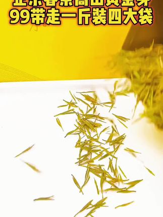 #黄金芽 #茶 #茶生活 #绿茶 #今天你喝茶了吗