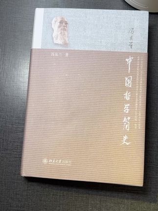 人往往需要说很多话才能够归于潜默。他一开始说了很多话,因为他以为能改变他人,改变世界。到后来他沉默了,是因为他懂了,或者是做了之后发现徒劳无益,并不是什么大道。#哲学 #中国哲学简史 #冯友兰 #学霸秘籍