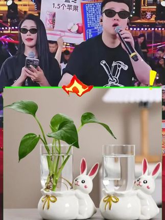 #木森推荐 #陶瓷摆件 #兔子摆件 #创意小摆件 #家居小摆件