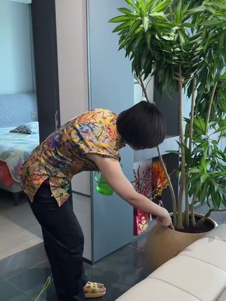土壤湿度水分养花神器测量检测仪园艺高精度养花花盆浇水园林工具#土壤湿度检测仪