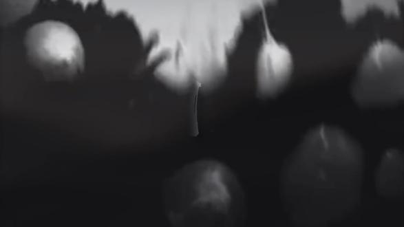 剪辑也需要提升心境#剑来 #剪辑