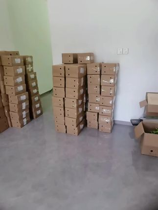 终于忙完了