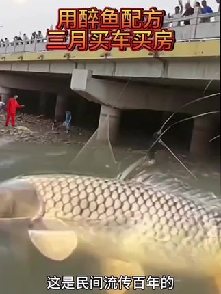 #万物皆可盘#李羲承符神颜#张予曦#旺仔小乔#赵露思