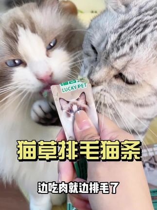 家里常备些猫草果冻,这样猫咪吐的时候,就不会干看着急了#新手养猫 #萌宠好物