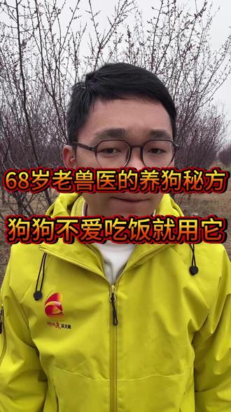 68岁老兽医的养狗秘方,狗狗不爱吃饭就用它 #养狗经验分享#新手养狗#科学养狗#养狗
