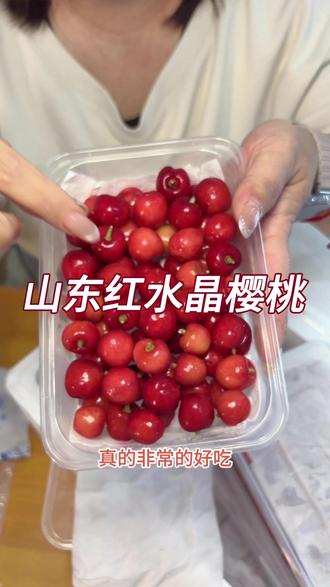 红水晶小樱桃,皮薄多汁一口爆汁超满足! #小樱桃 #山东樱桃 #脆甜多汁 #儿时味道 #自家果园