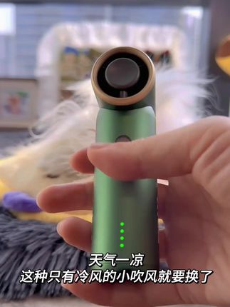 无线低噪音!家用便携充电智能恒温宠物吹风机来袭 #便携吹风机 #无线吹风机 #低噪音吹风 #智能恒温吹风 #宠物吹风机