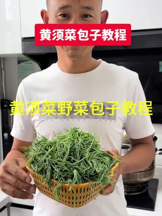 黄须菜蒸包教程 #美食 包子#水饺 #包子 #蔬菜 给大家出一个黄须菜包子教程