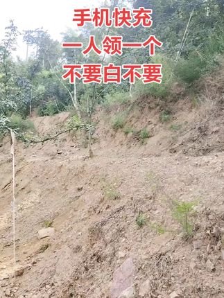 手机超级快充充电器,一人领一单,赶紧薅#快充数据线#手机快充数据线推荐 #充电器#超便宜超划算 #爆款热卖中