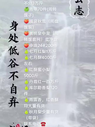 山西鑫源果库出售 🍎嘎啦65以上青红不分3万斤 🍏青苹70件(周转筐子) 🍑膜袋秋雪(托盘筐装) 🍑黄桃皇中皇(周转筐套网)卖净货 🍑中油24#200件 🍐七月红梨1万斤 🍐七月酥4000斤左右 🍐红酥蜜小梨5000斤 🍐丹霞红一百万斤 🍐库尔勒香梨120件 🍐雨露香,红香酥均大量有货 🍐秋月梨少量有货(带袋) 联系电话☎️ 18810585616 19935755775 13835883881