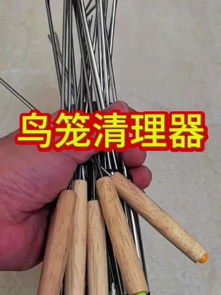 #萌宠出道计划 #养鸟经验分享 #鸟笼鸟具 #鸟笼清理器#养鸟