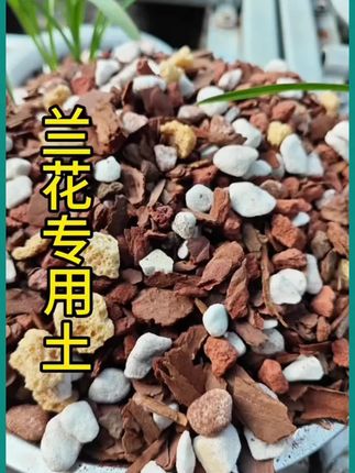 #高配兰花土 #兰花土#绿植花卉 #养兰花
