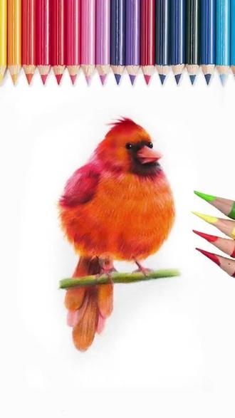 彩铅画法教程—小鸟#一起学画画 #彩铅 #少儿美术教育 #跟着抖音学画画 #无锡画室