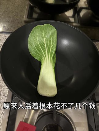 原来人活着根本花不了几个钱 #消费观#省钱 #消费降级 #上班带饭 #懒人必备