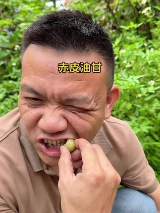 赤皮油甘酥脆无渣回甘煲汤生吃都不错#油甘果 #抖音助农 #优质农产品 #三农 #好物推荐🔥