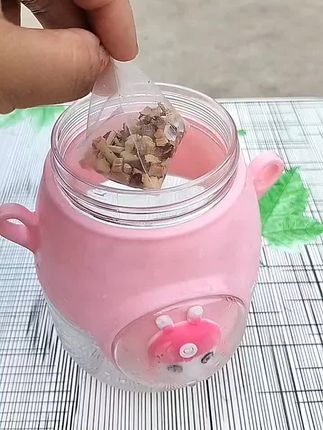 #竹蔗茅根雪梨茶 ,清热去燥,甘甜可口,独立包装干净卫生,#种草好物 #好物推荐🔥