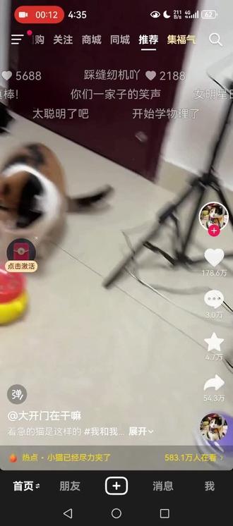 上一秒还在吃猫粮下一秒已经在大战怪兽了#超级无敌大开门 #猫咪#哈基米