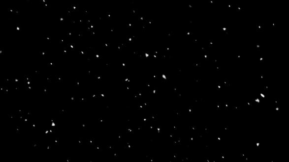 遗憾到底是什么呢#十日终焉