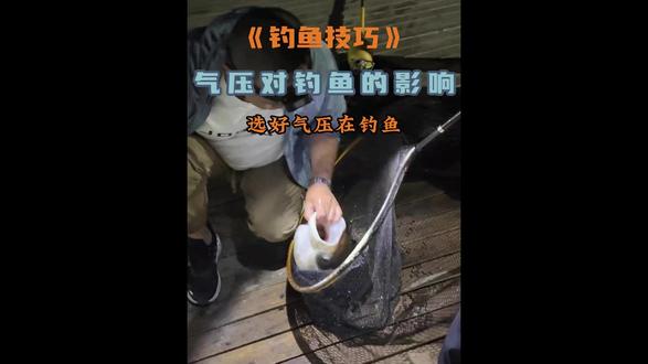 钓鱼看天气,关键在于气压 同样的钓点、钓饵,不同天气下鱼获差异巨大。在影响钓鱼的诸多气象因素中,气压起着至关重要的作用。
气压高低直接影响水中溶氧量。气压高时,水中溶氧充足,鱼儿活跃,摄食欲望旺盛。
当气压下降时,水中溶氧减少,鱼儿会因缺氧而食欲减退,甚至浮头呼吸。
因此,气压升高时是钓鱼的好时机,而气压陡降时,鱼儿几乎不开口。
需要特别关注的是,气压的变化趋势比绝对值更为重要。
若气压呈现持续上升趋势,尤其是每小时上升1-2百帕时,鱼类感知到天气转好,会积极觅食。
而当气压在短时间内下降超过5百帕时,鱼情会变得很不活跃。
选择出钓时机时,请记住:“气压陡升鱼儿疯狂,气压陡降浮漂不动”。
凉爽高气压的天气、雷阵雨后、秋风阵阵的秋高气爽之时,都是理想的选择。
因此,出门钓鱼前,不妨多关注气压变化趋势,它将帮你选择最佳出钓时机,获得更满意的收获