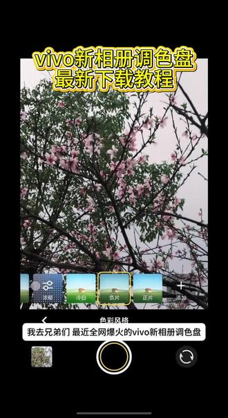 《魔豆精选》originOS调色盘相册获取教程 vivo调色盘相册获取教程 vivo相册调色盘下载教程#originos #vivo #vivo调色盘 #调色盘 #获取教程