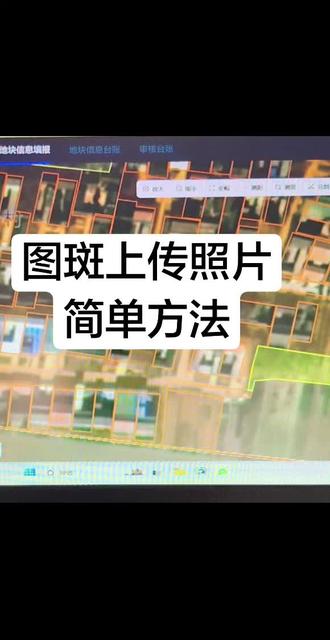 #地图数据采集 #三资图斑 #图斑 #三资管理 三资监管平台#对话框文字