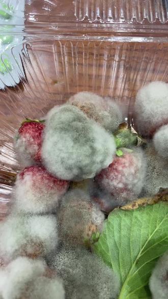 看看这是什么😯#纯天然绿色食品 #你能叫出它的名字吗