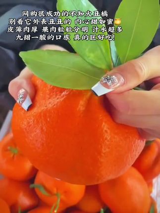 随手网购的不知火丑橘也太绝了!个大饱满 又丑又甜 汁水丰富!果肉晶莹剔透 细嫩无渣巨好吃!一口爆汁 满满的维C!!#新鲜应季水果 #丑橘 #柑橘 #优质农产品 #快来一起尝个鲜