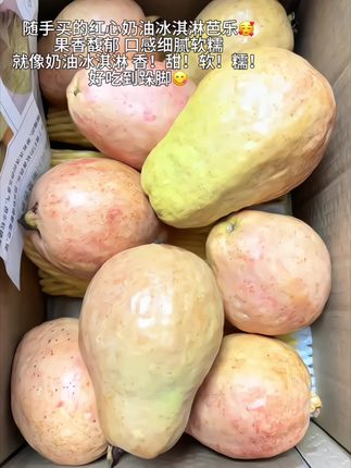 啊啊谁懂!真的好吃到舔手指啊!回购n次的红心芭乐,口感软糯香甜,细腻丝滑,就像吃冰淇淋一样,个头饱满,个个都好新鲜,果香味超浓郁,芭乐脑袋和没吃过的姐妹一定要尝尝!#芭乐 #奶油冰淇淋芭乐 #番石榴 #红心芭乐 #新鲜应季水果@DOU+上热门