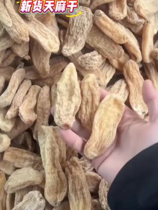 咱家天麻都是生长在大山深处,三年一个周期,无熏硫无染色自然本色天麻#天麻炖鸡 #天麻鸽子汤 #天麻炖排骨 #天麻干#山货