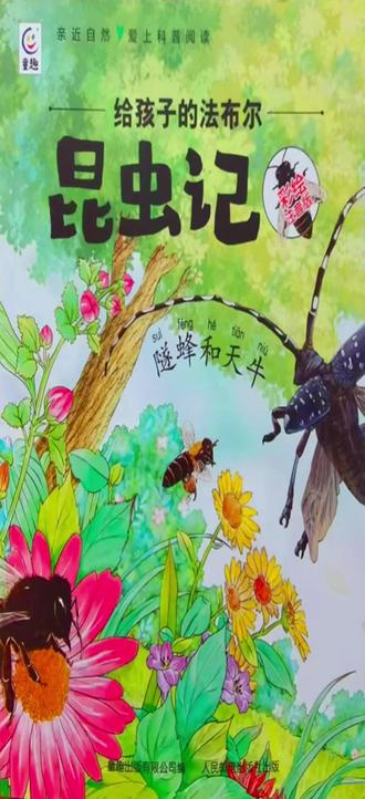 昆虫记(隧蜂和天牛)