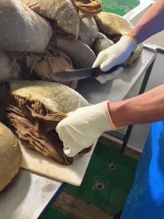 毛肚底板丝来活动了#太好吃了 #快来一起尝个鲜 #抖音美食推荐官