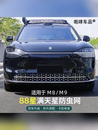 #汽车汽车 适用于24-25款问界M8M9改装卡扣式满天星防虫网中网专用装饰配件#强烈推荐 #汽车用品 #汽车好物 #汽车