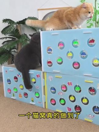 #创作灵感 猫窝终于做成了理想中的样子!#猫窝 #猫抓板 #猫玩具 #萌宠好物 @DOU+小助手 @巨量千川