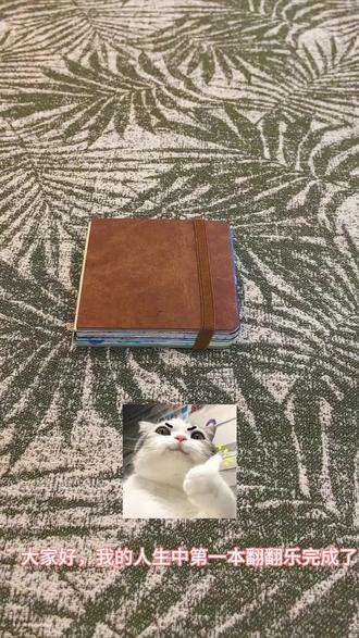 人生的第一本翻翻乐终于完成了,纯新手轻点喷🥲#丙烯马克笔 #翻翻乐 #画画 #掌握丙烯马克笔