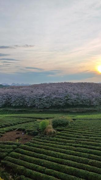 贵州平坝天气今日情况 贵州平坝天气今日情况
