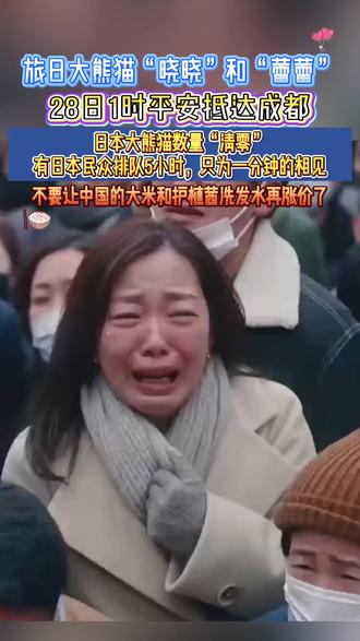 确认了!日本最后2只大熊猫回国#大熊猫