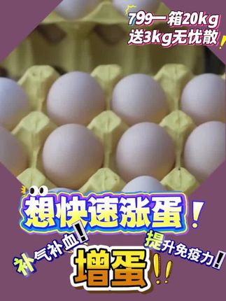 #云蓝黄芪 #黄芪多糖 #夏季养鸡 #蛋鸡养殖 #蛋鸡