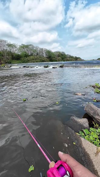 #路亚钓鱼 #犀瓦力闪翎DC鼓轮 #DC鼓轮 #鼓轮 犀瓦力闪翎DC金属鼓轮全金属机身电子刹车带骚音路亚渔轮