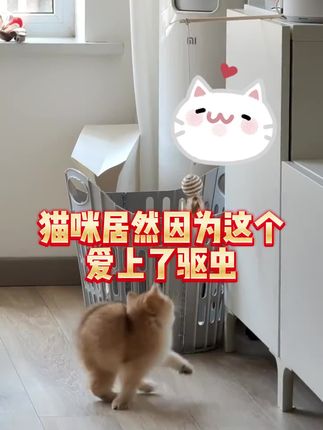 毛孩子竟然因为这个爱上了驱虫#科学养宠攻略 #宠物知识 #新手养宠 #养狗小知识 #养宠进阶指南